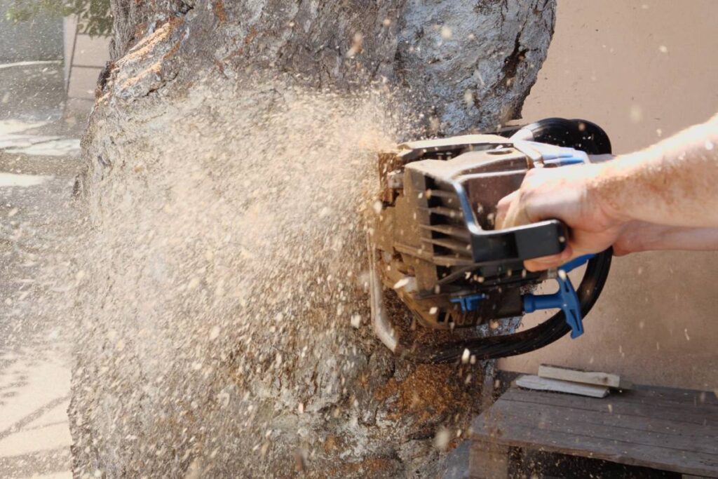 Chainsaw in action for cutting wood. worker cuts a tree trunk into logs with a saw. Close-up of a saw in motion, sawdust flying to the sides. Woodworking, wood cutting tools, wood.