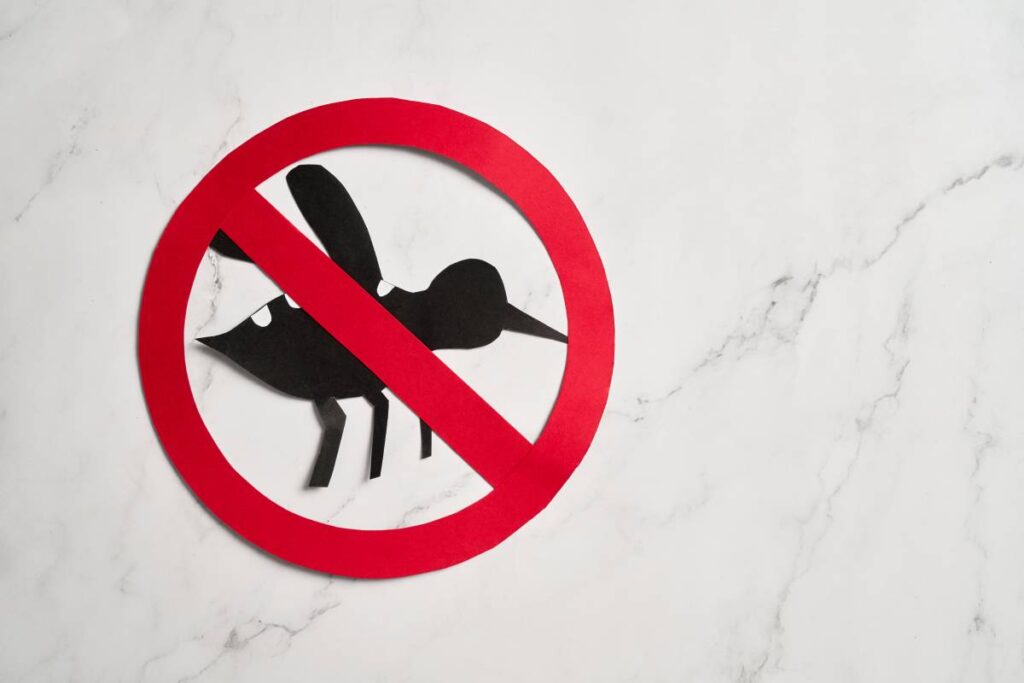 No mosquito, bite for World dengue day with Stop mosquito sign for prevention of virus